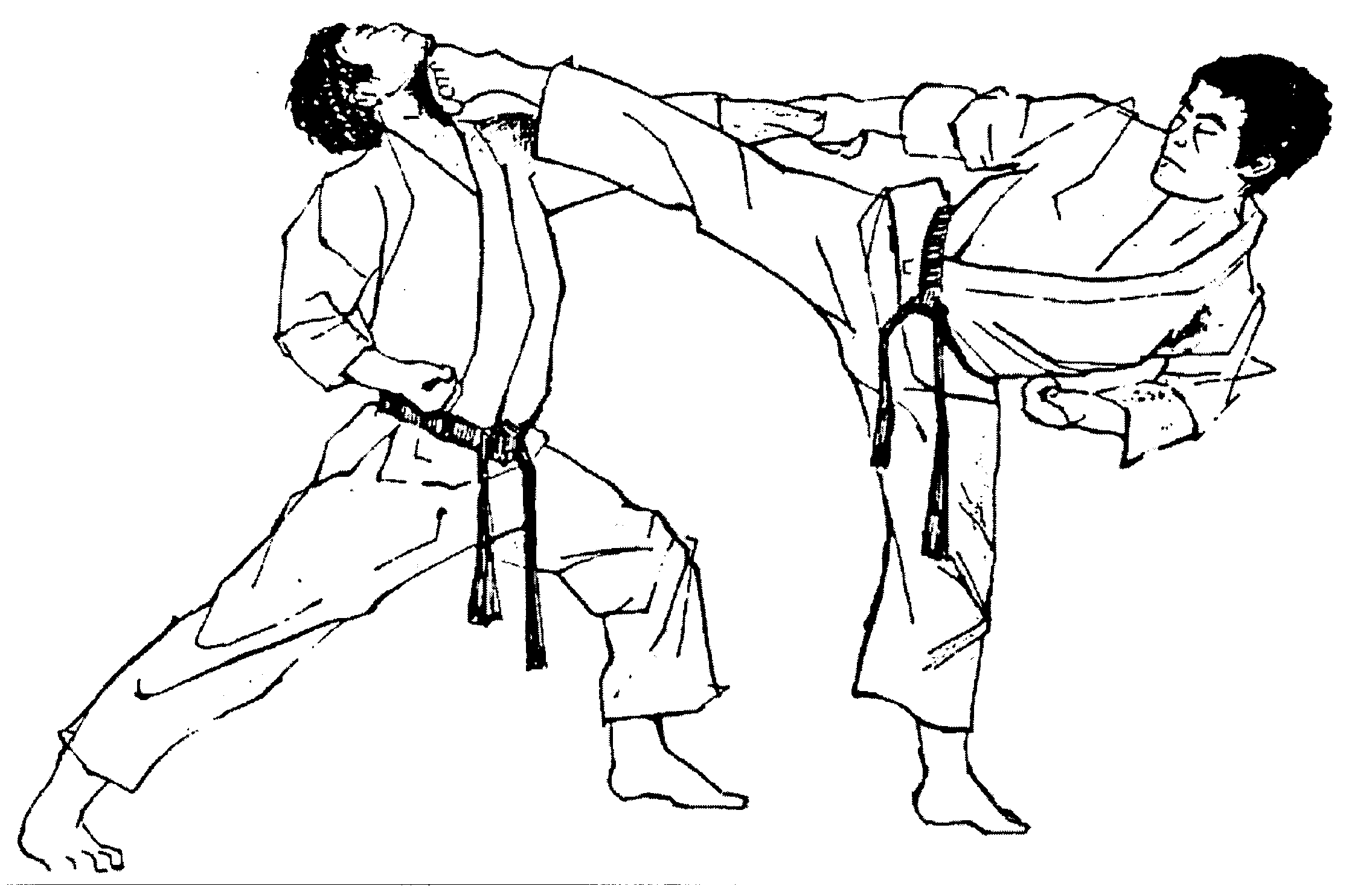 Free Karate Images, Download Free Karate Images png images, Free