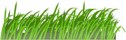 Cartoon Grass Plant Garden Lawn Texture Gras Free Vector - Flowers 