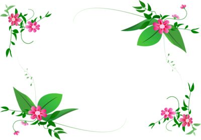 Free Frames and borders png | flower-border-design-png-360.png 