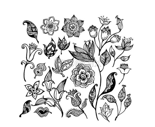 Black and white floral design flowers Vector | Pattern border