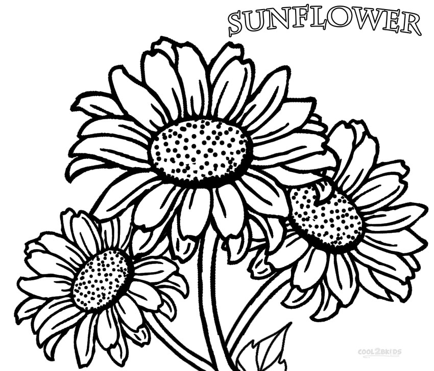 Free Sunflower Color Page Printable, Download Free Sunflower Color Page