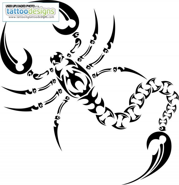 tribal scorpion tattoo designs - Clip Art Library
