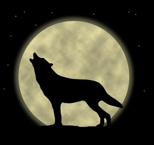 Free Cartoon Wolf Howling, Download Free Cartoon Wolf Howling png