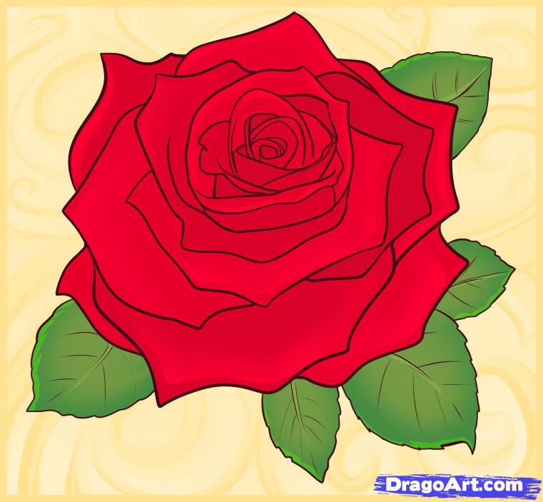 Cartoon Rose Flower Drawing With Colour - bmp-front