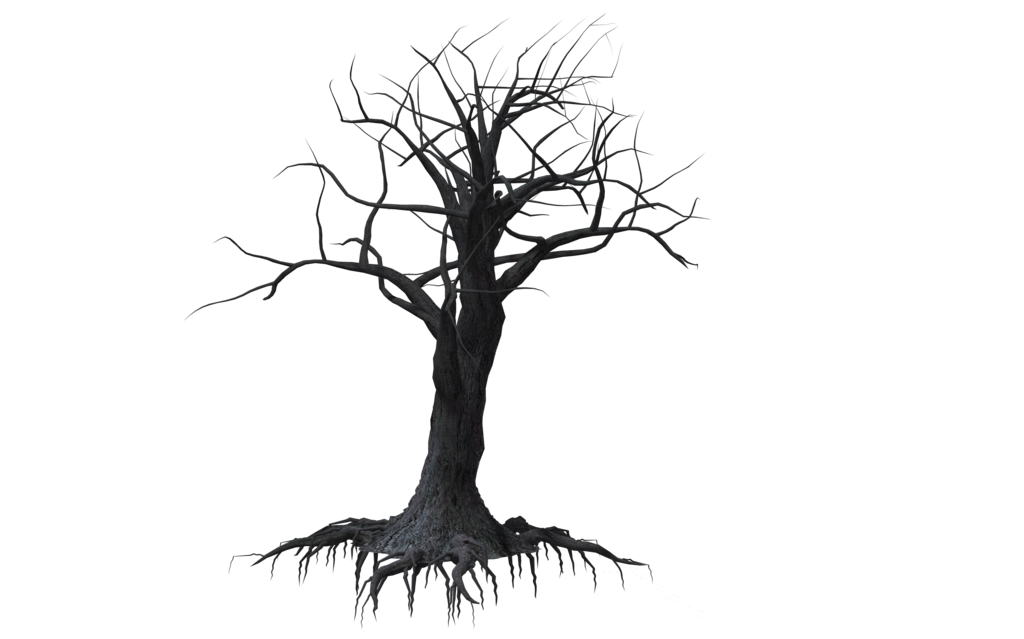Creepy Tree 03 by wolverine041269 on Clipart library