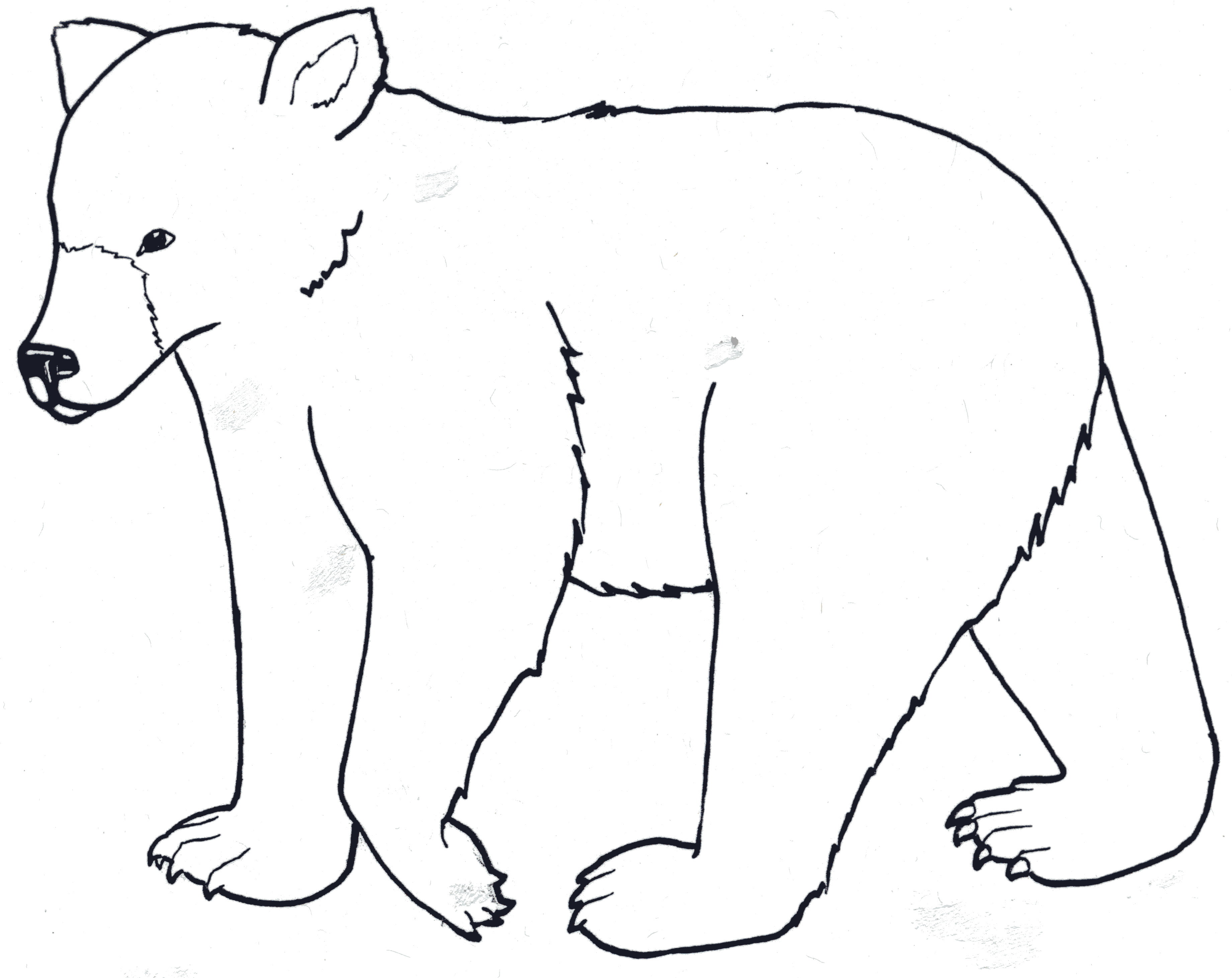 Black Bear Coloring Page - Clipart library