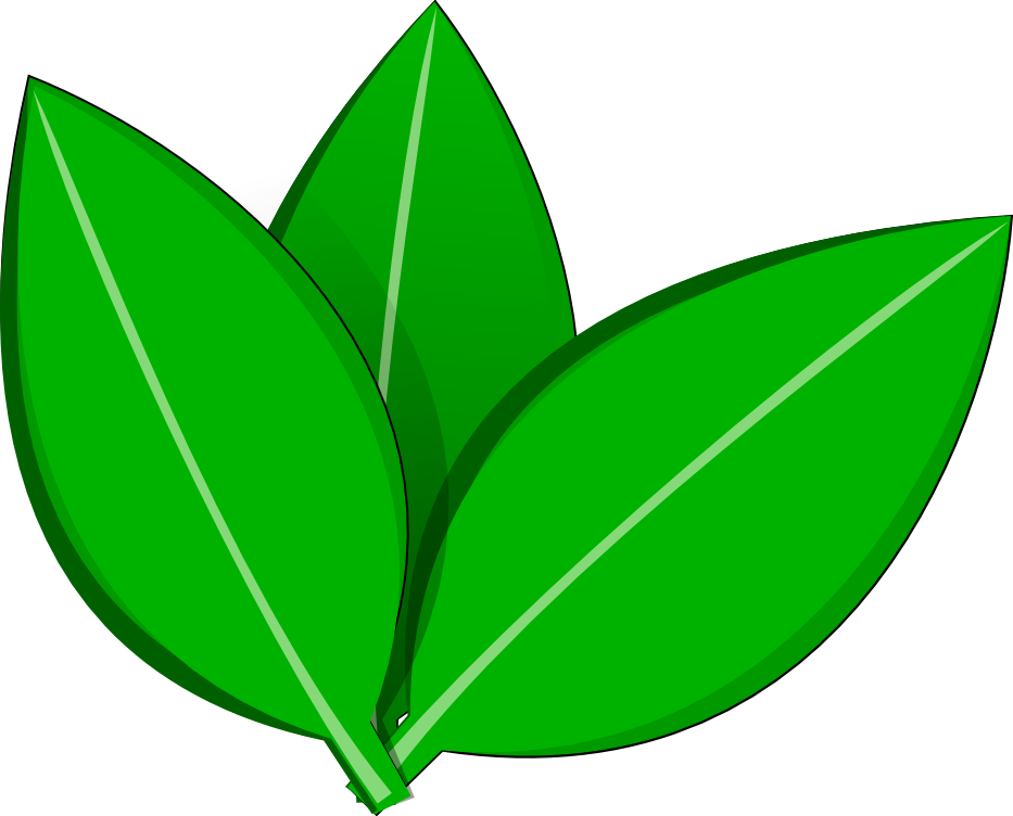 Vector Leaves Inkscape by dyreryft on Clipart library