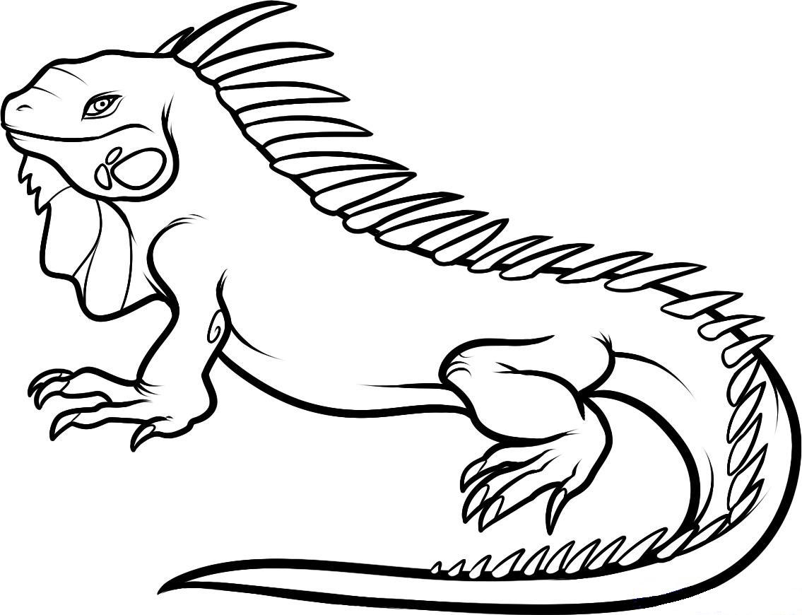 Free Iguana Clipart Black And White, Download Free Iguana Clipart Black And  White png images, Free ClipArts on Clipart Library