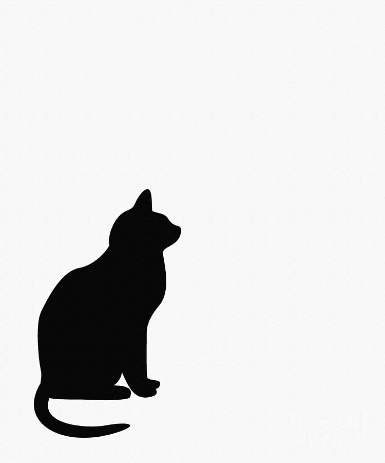 Black Cat Silhouette On A White Background by Barbara Griffin 