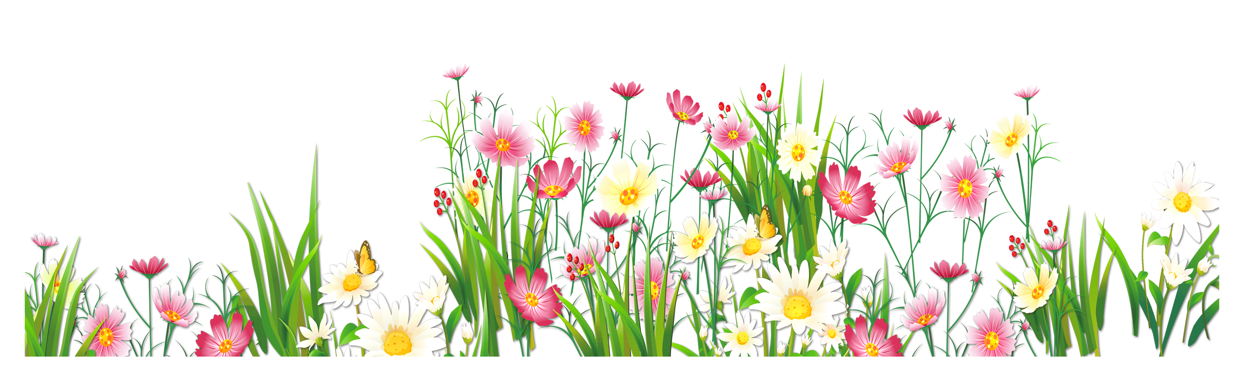 Flowers and Grass PNG Picture Clipart