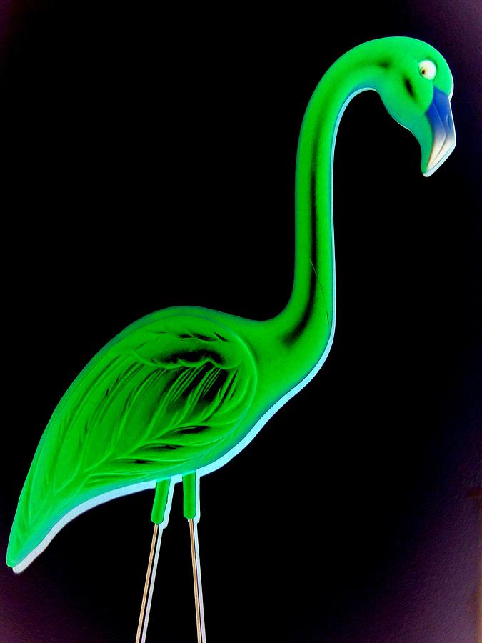 Green Flamingo by Randall Weidner - Green Flamingo Digital Art 