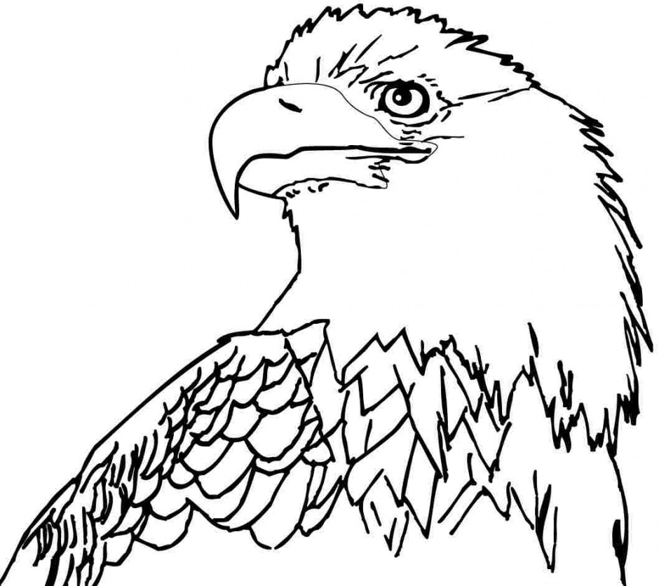 Bald Eagle Coloring Vector Of A Cartoon Bald Eagle Holding A Medal 