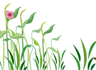 nature clipart animated gif - Clip Art Library