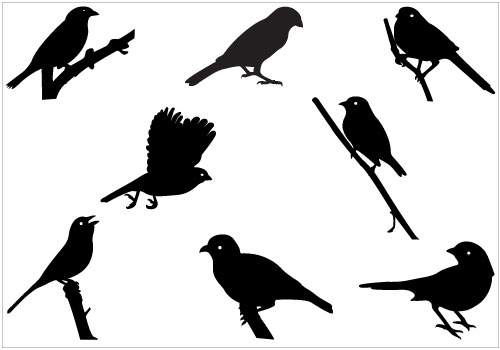 Sparrow silhouette vector clip art packSilhouette Clip Art