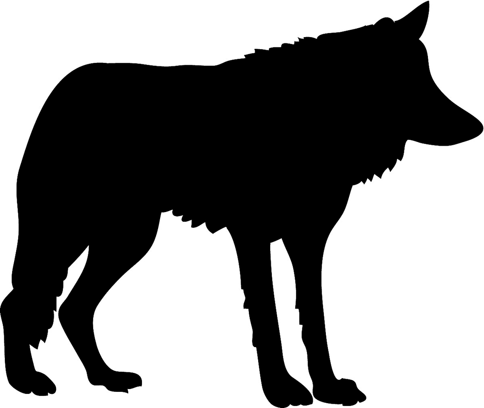 Wolf Silhouette Photography