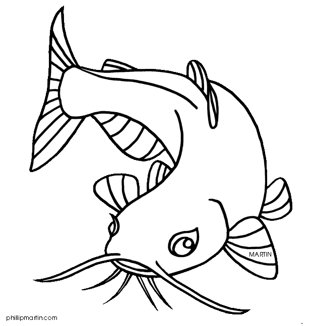 Easy Catfish Drawings Images  Pictures - Becuo