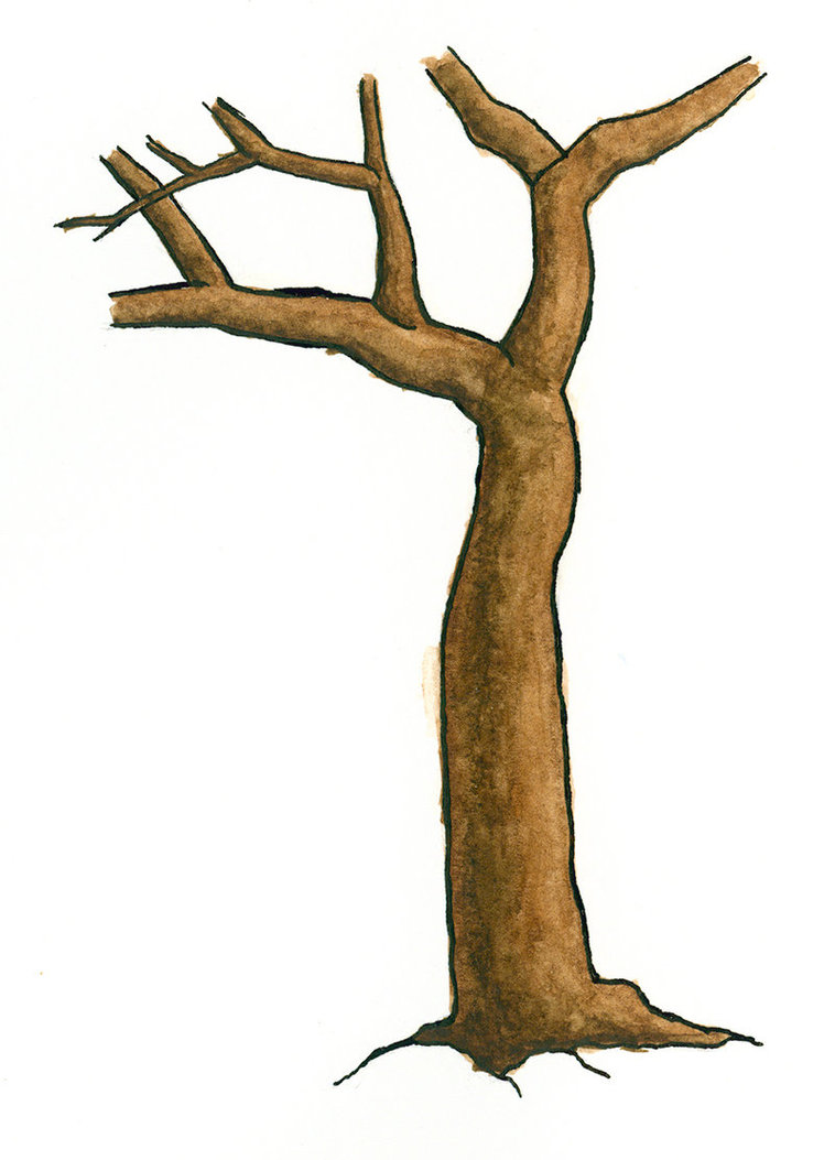 Free Tree Trunk Pictures, Download Free Tree Trunk Pictures png images