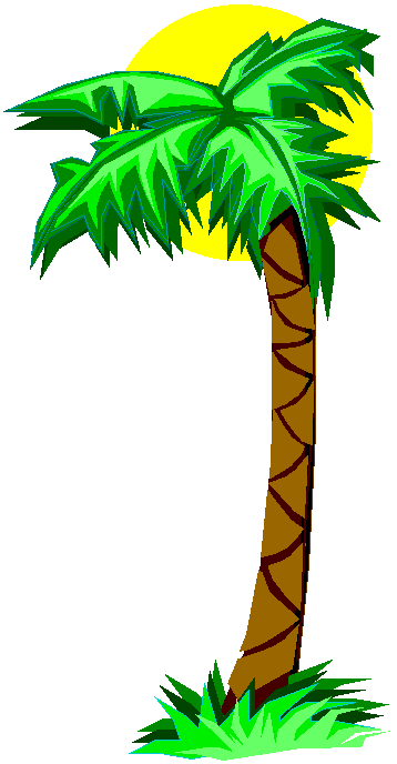 Cartoon Palm Tree 