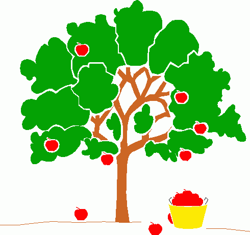 erfeidine: apple tree pictures