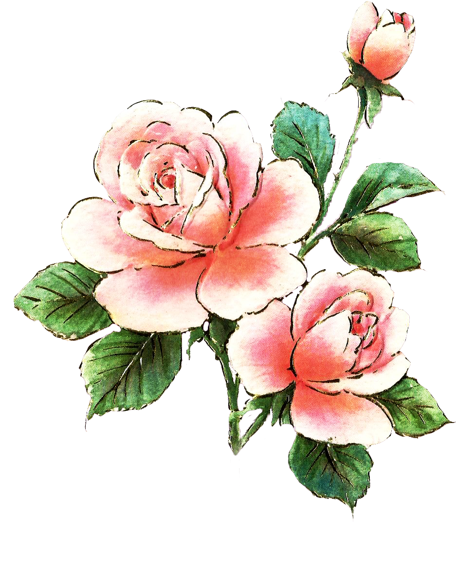 Jinifur Pink Rose Element by jinifur on Clipart library