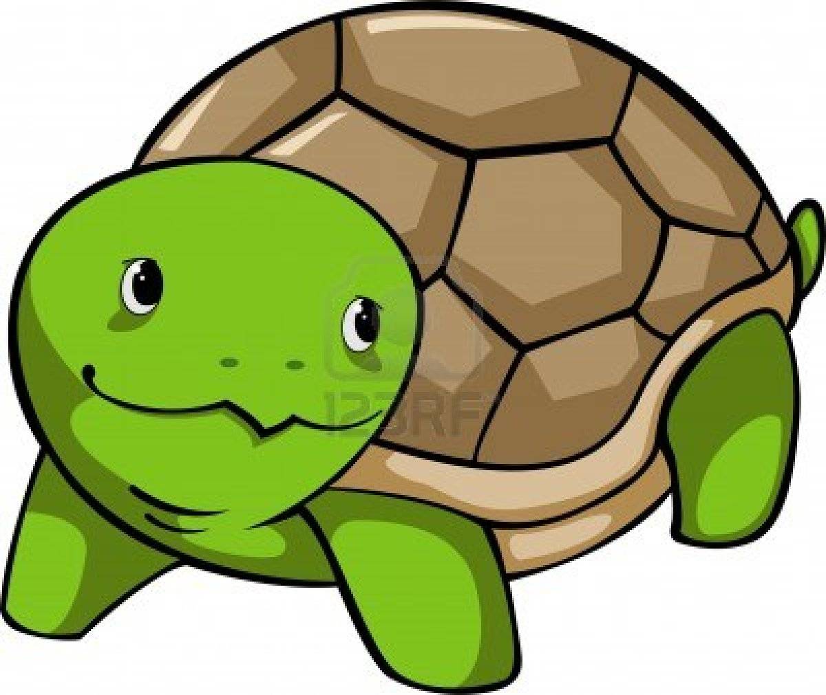 Cartoon Turtle - Turtles Picture