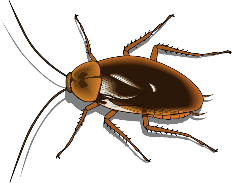 Insect 25 Free Vector 