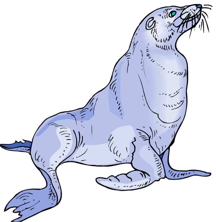 Free Sea Lion Clipart