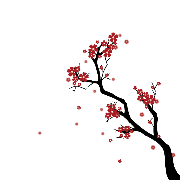 japanese cherry blossom drawings