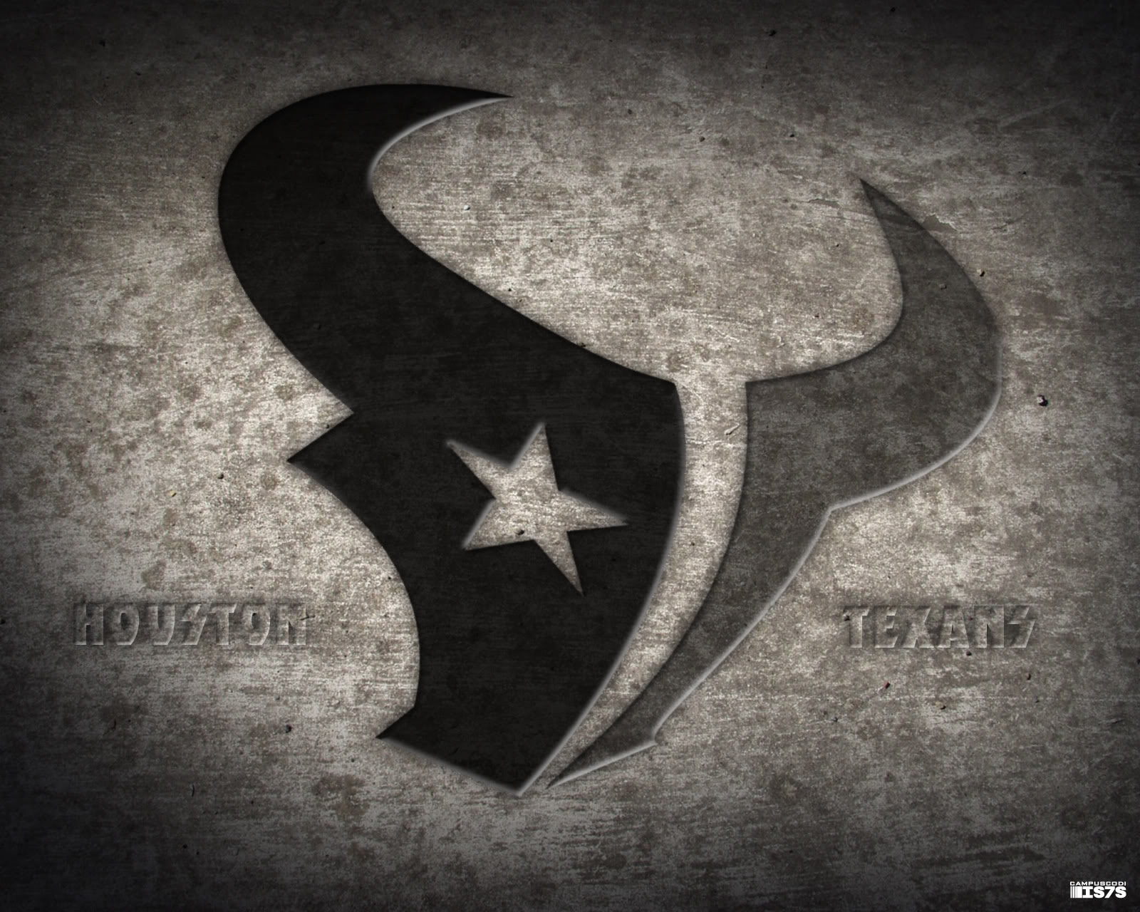 Houston Texans Nfl Logo images