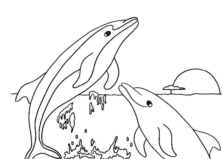 Dolphin Pictures For Kids - AZ Coloring Pages