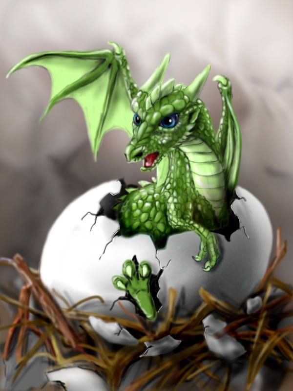 Baby dragon hatching | my pinterest dragons | Clipart library