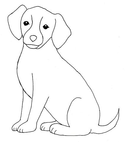 Dog Drawing Step by Step - Samantha Bell