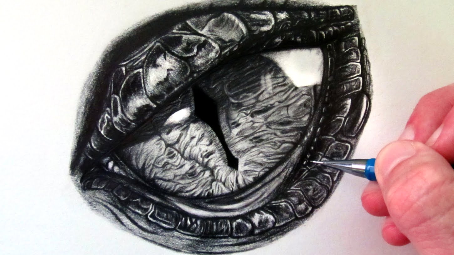 Dragon Eye Clip Art Library