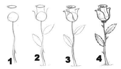 draw a rose step - Clip Art Library
