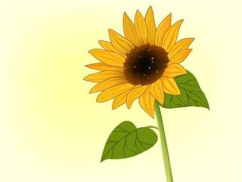 sunflower clip art free download - photo #30
