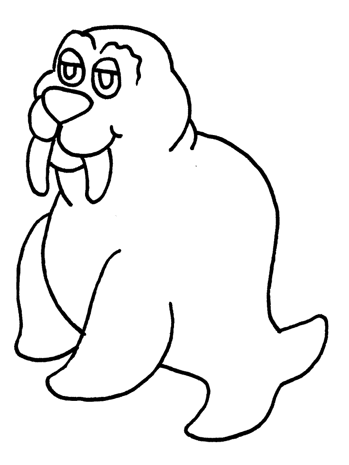 Walrus Colouring Pages- PC Based Colouring Software, thousands of 