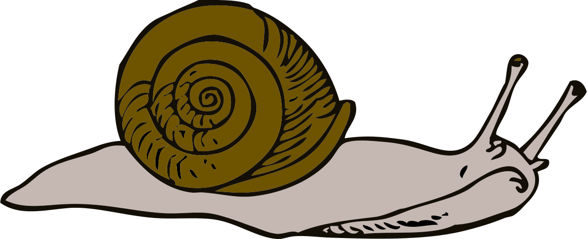 Snail Clipart by johnny_automatic : Animal Cliparts #734- ClipartSE