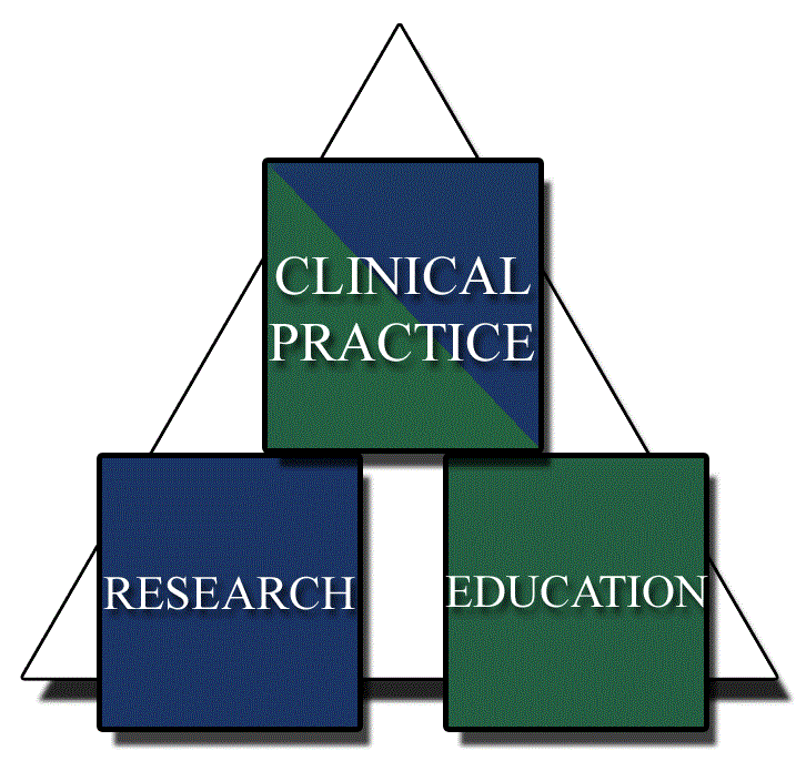 Building Blocks for Clinical Practice | NATA Research  Education 