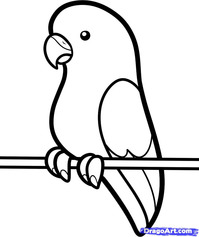 How to Draw a Parakeet for Kids, Step by Step, Animals For Kids 