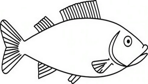 Fish Drawing Outline - Clipart library
