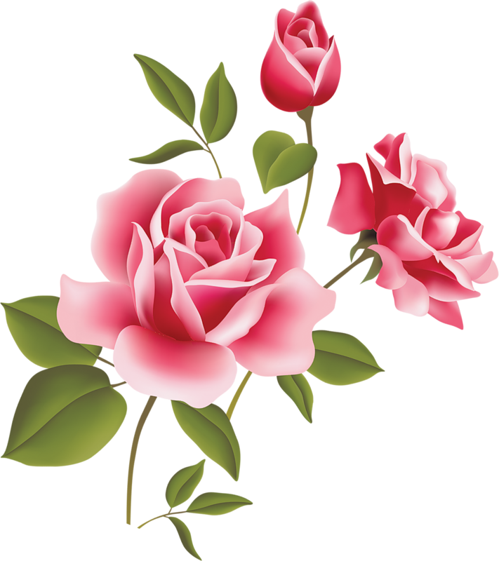 Clipart Pink Roses