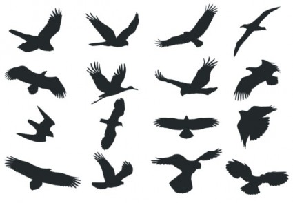 Bird silhouette vector Free vector in Coreldraw cdr ( .cdr 