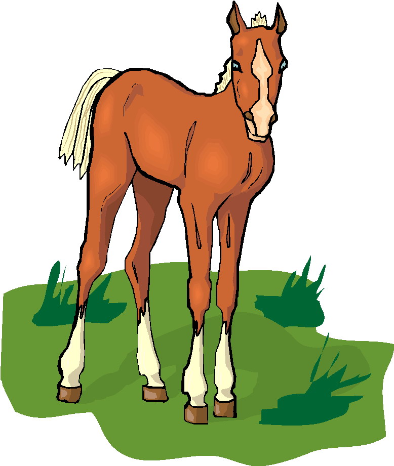 Horse Clip Art Cartoon