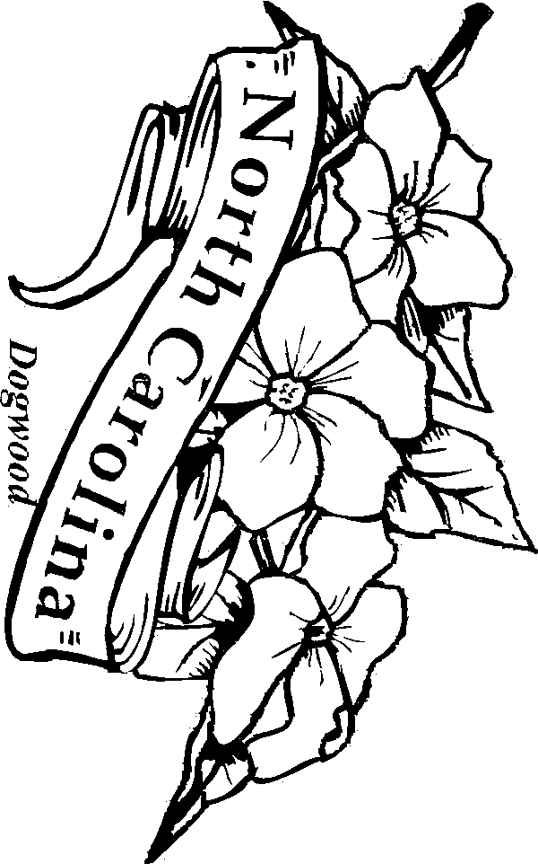 dog wood flower Colouring Pages