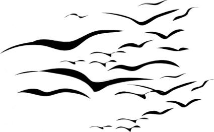 Bird Outline Clip Art - Clipart library