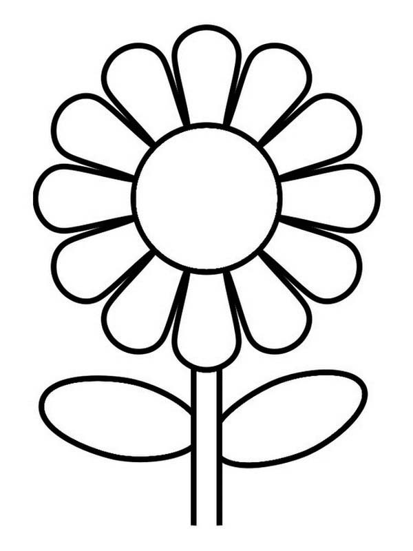Great Sunflower Coloring Page - Download  Print Online Coloring 