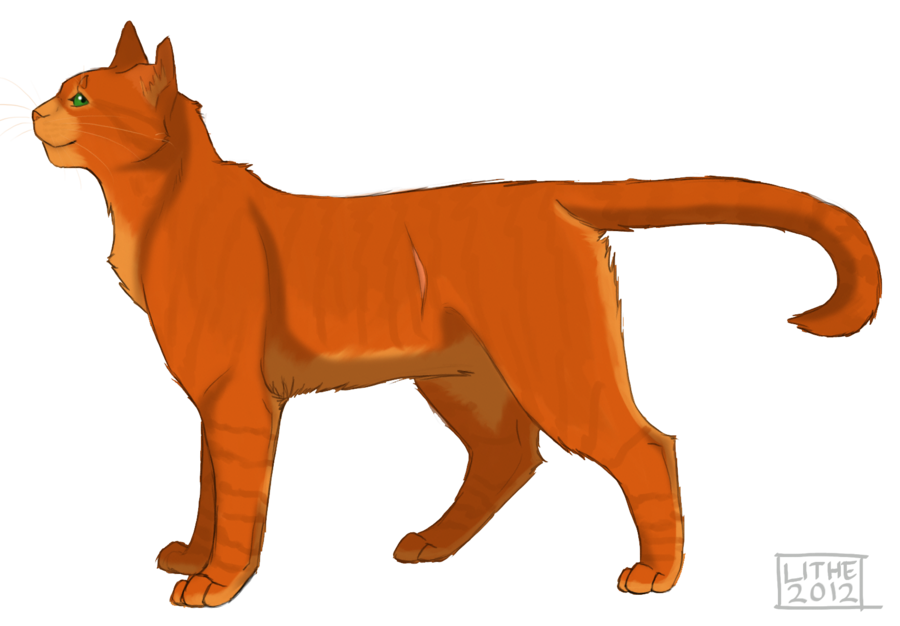 warrior cat drawings firestar | Basketball Team and Players Image 