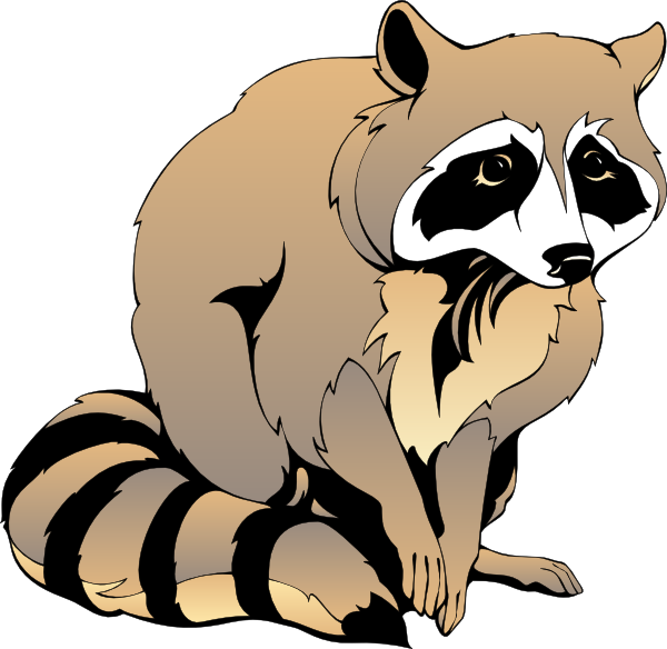 Raccoon clip art - vector clip art online, royalty free  public 
