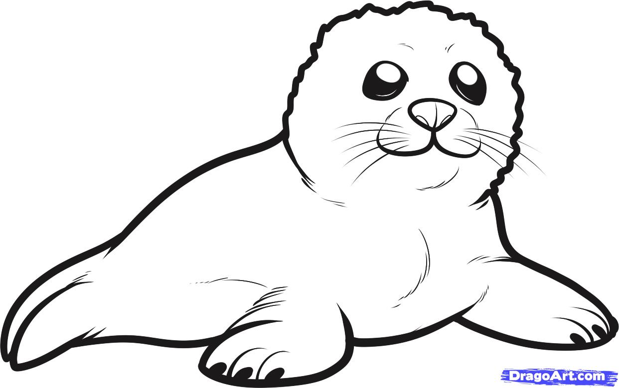 Cute Harp Seal Baby Coloring page Free Printable