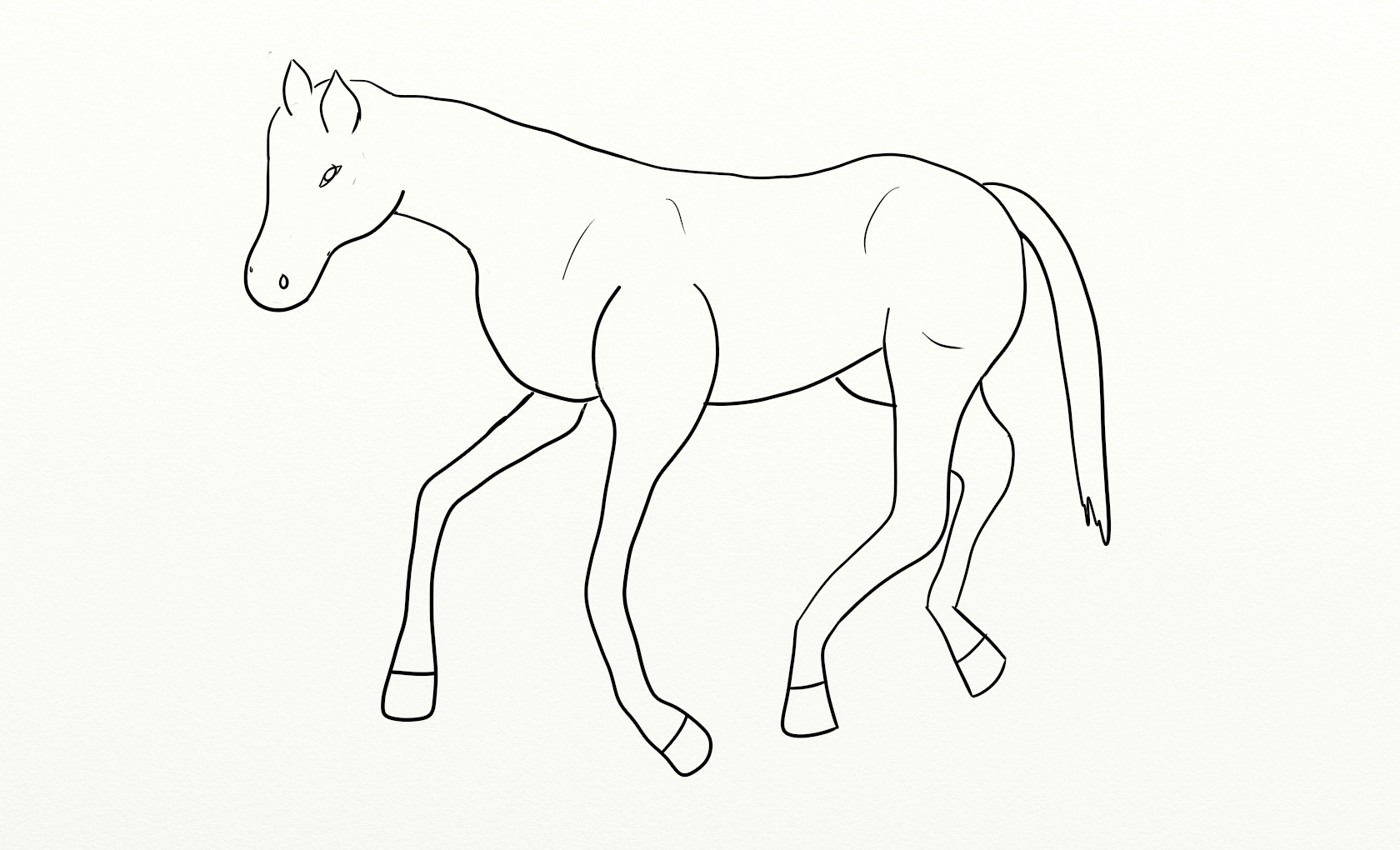 foal - Clip Art Library